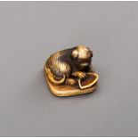 AN IVORY NETSUKE OF A RECLINING PUPPY WITH AWABI