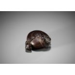 HOKUSUI: A RARE WOOD NETSUKE OF A SNAIL WITH YOUNG