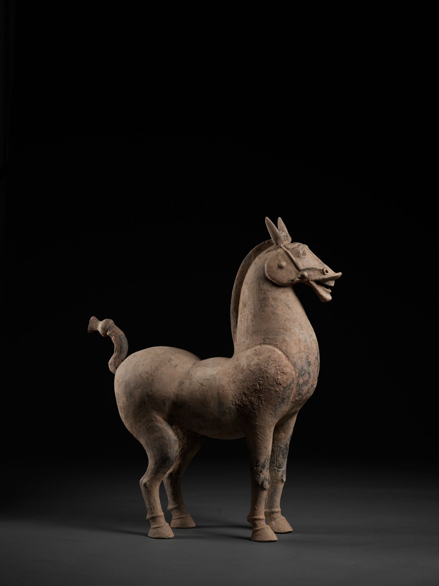 A MONUMENTAL SICHUAN POTTERY FIGURE OF A HORSE, HAN DYNASTY - Image 11 of 11
