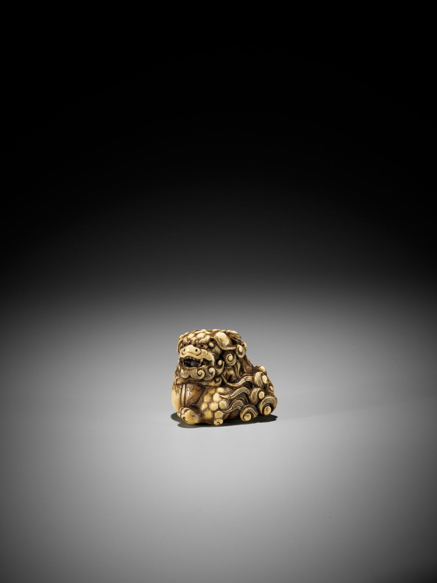 HIDECHIKA: A POWERFUL IVORY NETSUKE OF A ROARING SHISHI WITH BALL - Image 4 of 10