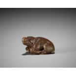 KOKEI: A FINE WOOD NETSUKE OF A RECUMBENT BOAR