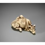 GARAKU: A POWERFUL IVORY NETSUKE OF AN OX WITH OXHERD