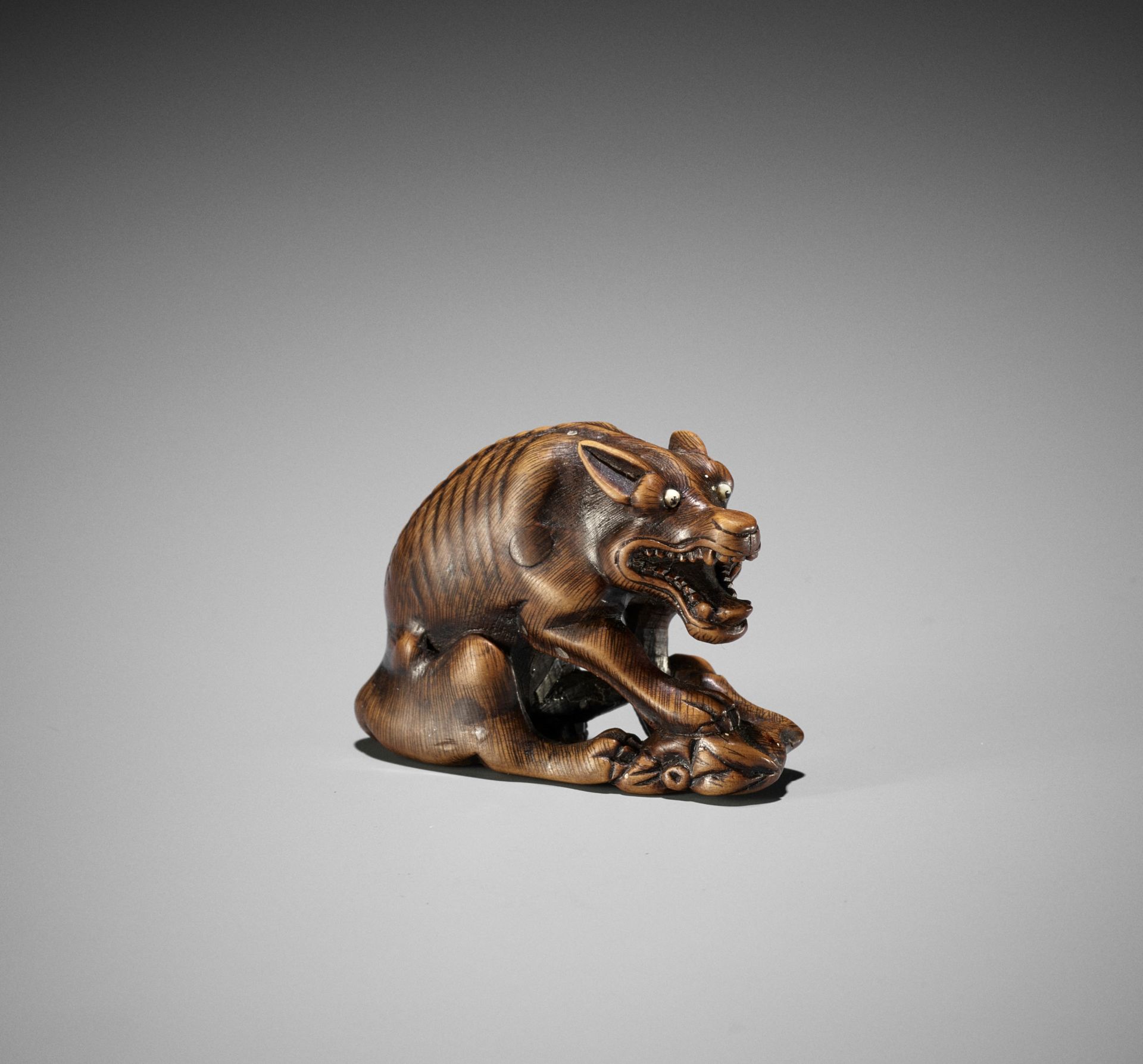 MASATOMO: A WOOD NETSUKE OF A WOLF WITH HAUNCH OF VENISON