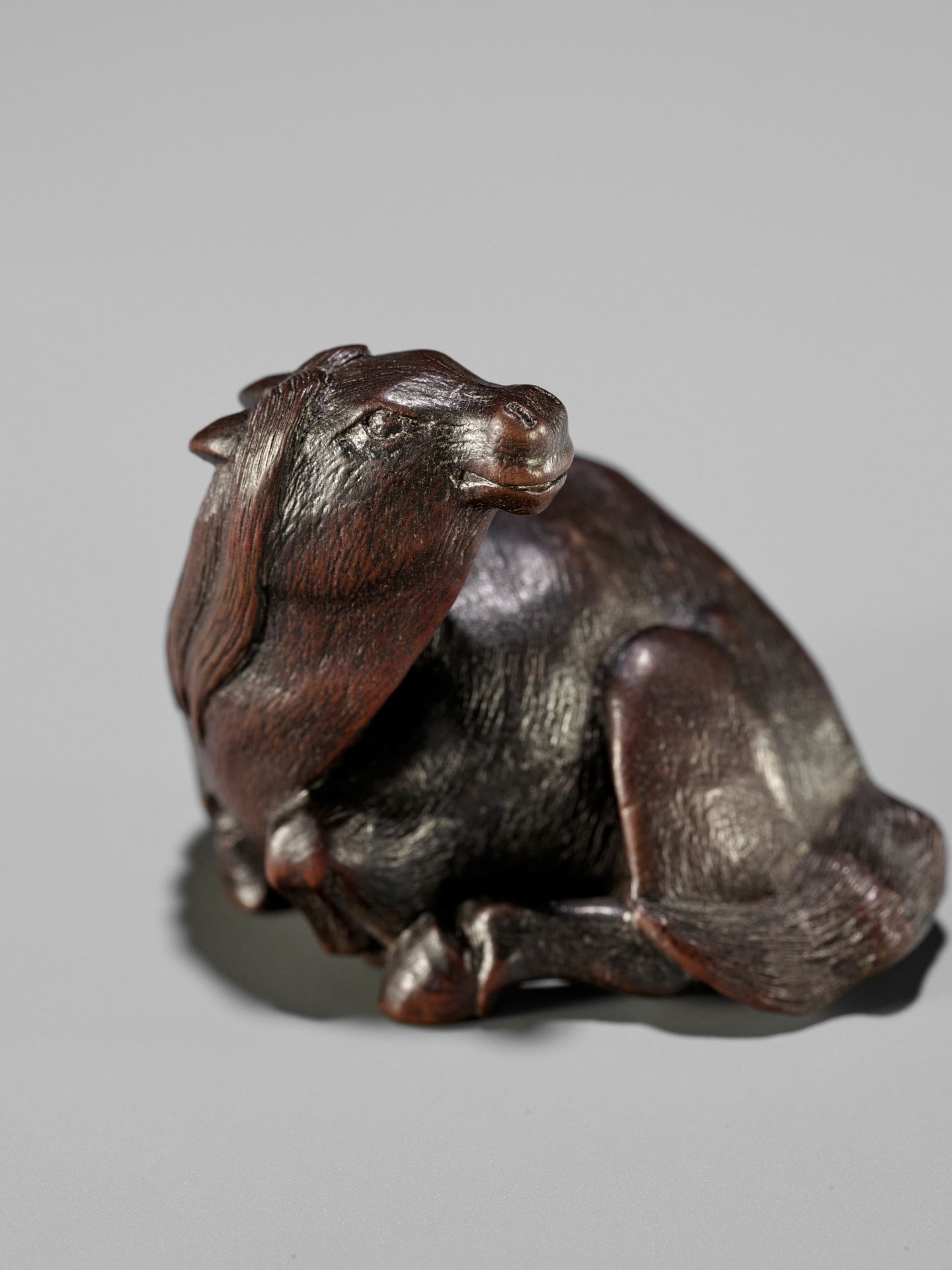 IKKAN: A FINE NAGOYA SCHOOL WOOD NETSUKE OF A RECUMBENT HORSE