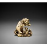 A SUPERB IVORY NETSUKE OF A ROARING SHISHI WITH CUB