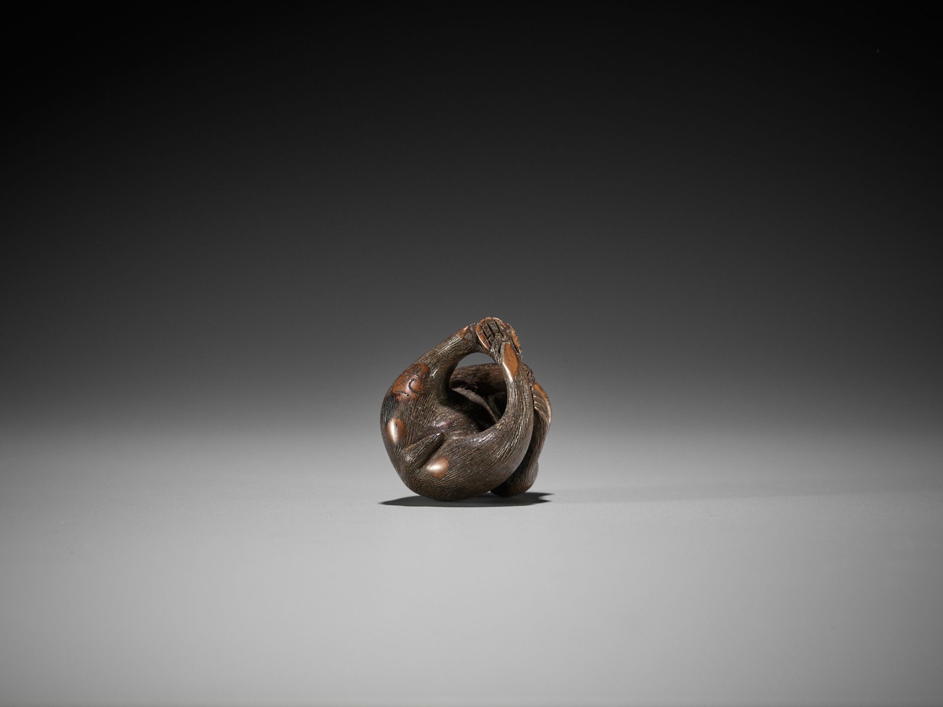 KOICHI: A WOOD NETSUKE OF A MONKEY PICKING FLEAS - Bild 8 aus 9