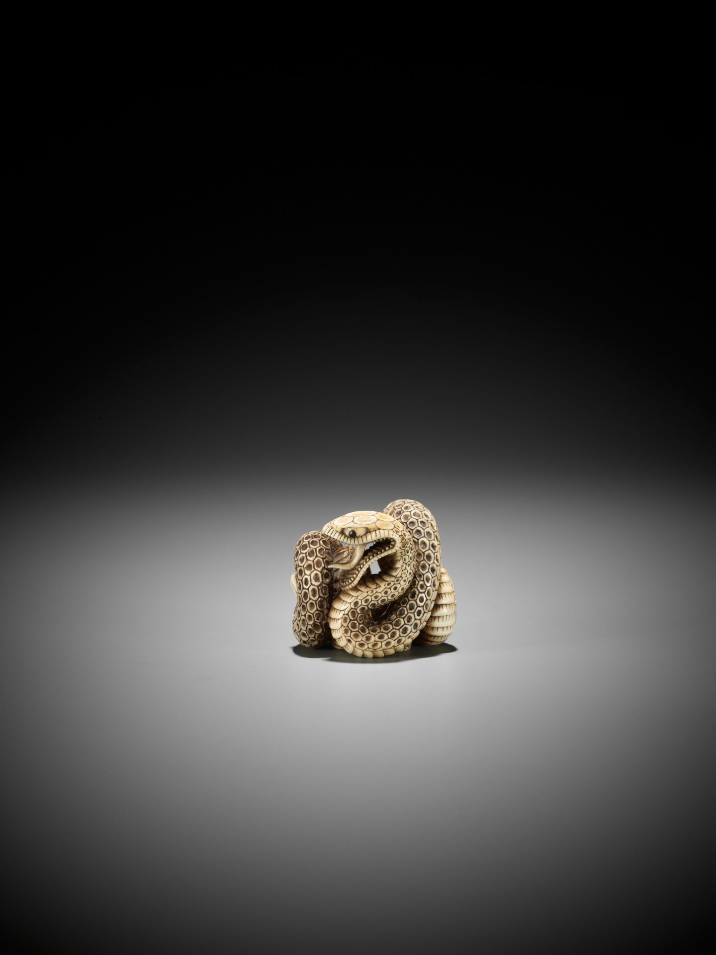 A SUPERB IVORY NETSUKE OF A SNAKE PREYING ON A FROG, ATTRIBUTED TO MASATSUGU - Bild 9 aus 16