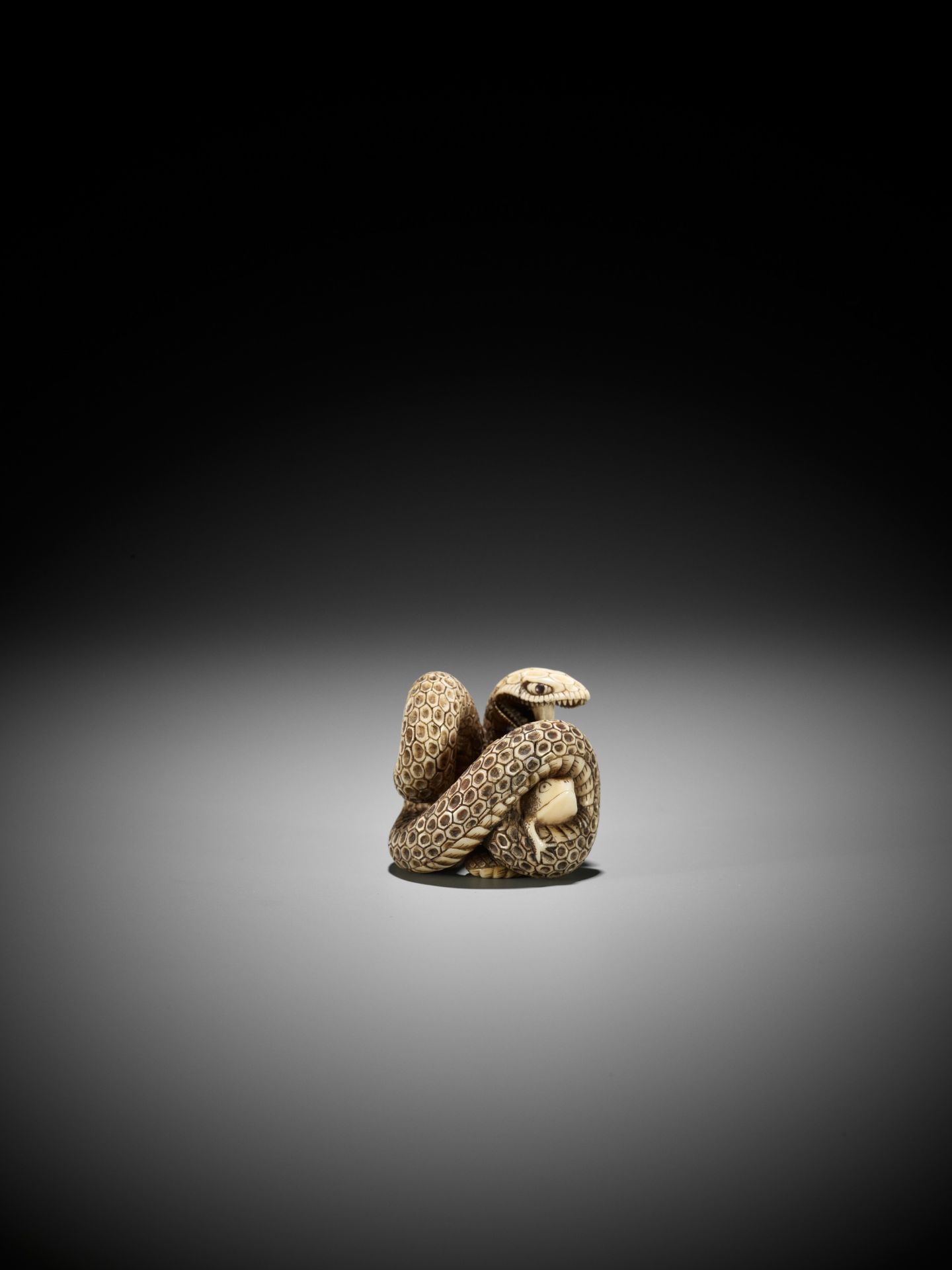 A SUPERB IVORY NETSUKE OF A SNAKE PREYING ON A FROG, ATTRIBUTED TO MASATSUGU - Bild 12 aus 16