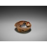 SHIGEMASA: A FINE AND RARE WOOD NETSUKE OF A CRAB ON AWABI