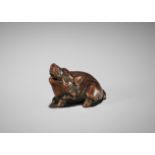 TSUNENORI: A SUPERB TANBA SCHOOL WOOD NETSUKE OF A RECUMBENT BOAR