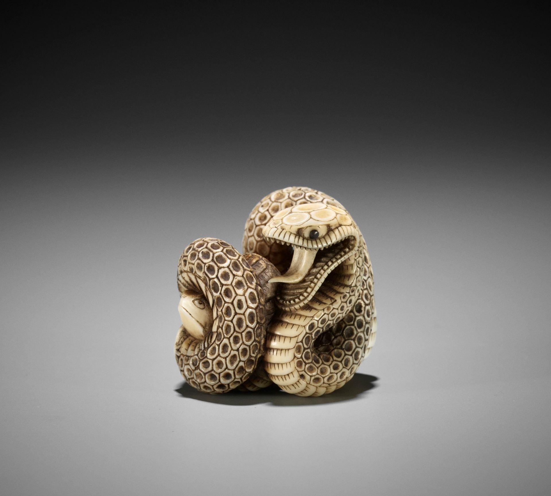 A SUPERB IVORY NETSUKE OF A SNAKE PREYING ON A FROG, ATTRIBUTED TO MASATSUGU
