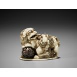 CHOUNSAI HIDECHIKA: A SUPERB IVORY NETSUKE OF A SHISHI WITH YOUNG AND BALL