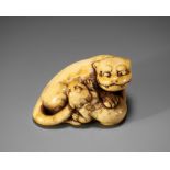 A SUPERB KYOTO SCHOOL IVORY NETSUKE OF A TIGER WITH CUB