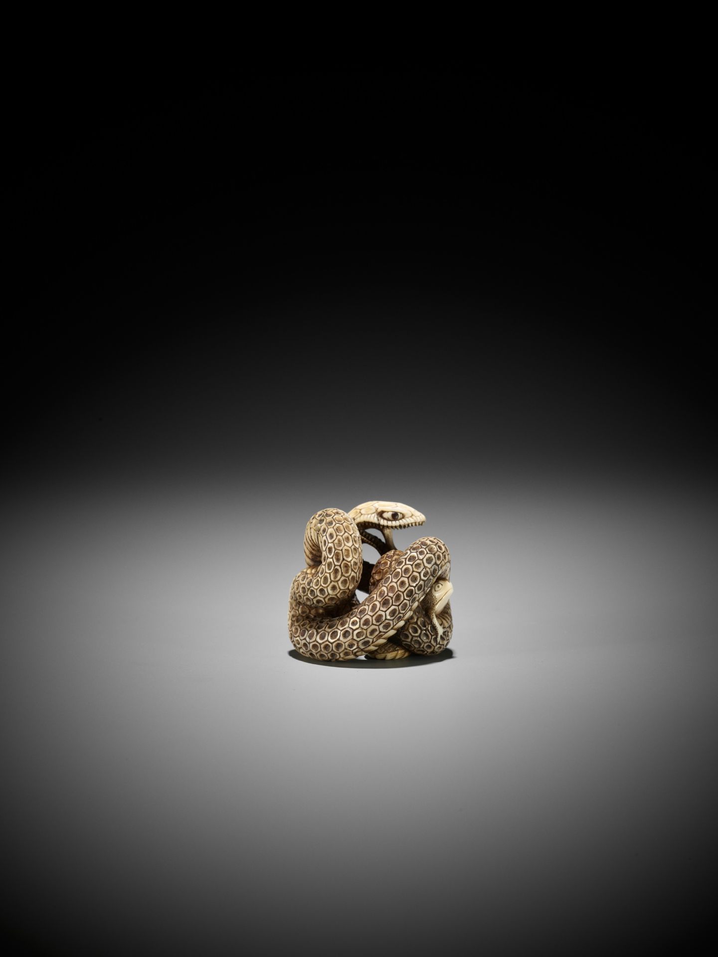 A SUPERB IVORY NETSUKE OF A SNAKE PREYING ON A FROG, ATTRIBUTED TO MASATSUGU - Bild 11 aus 16