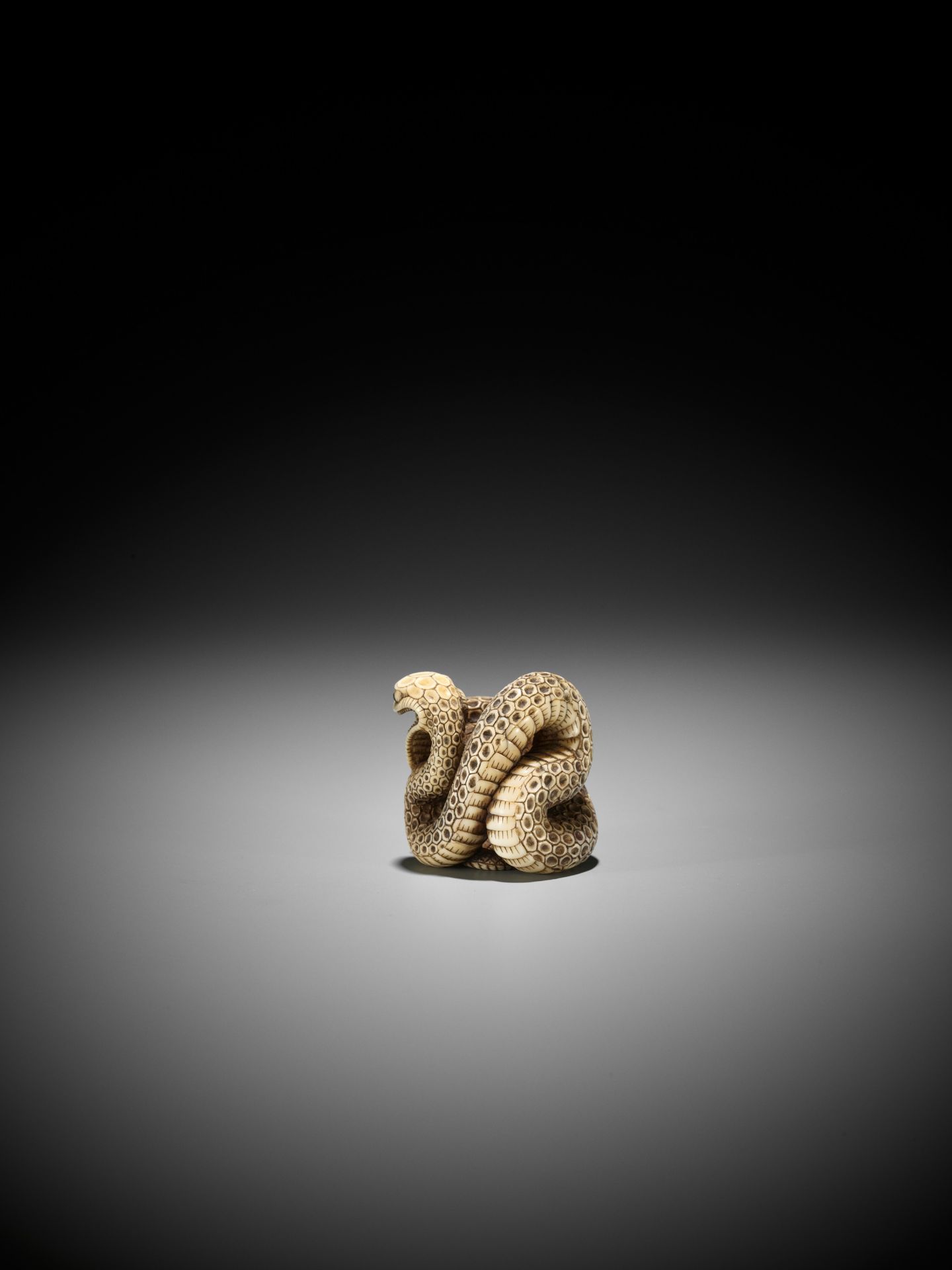 A SUPERB IVORY NETSUKE OF A SNAKE PREYING ON A FROG, ATTRIBUTED TO MASATSUGU - Bild 10 aus 16