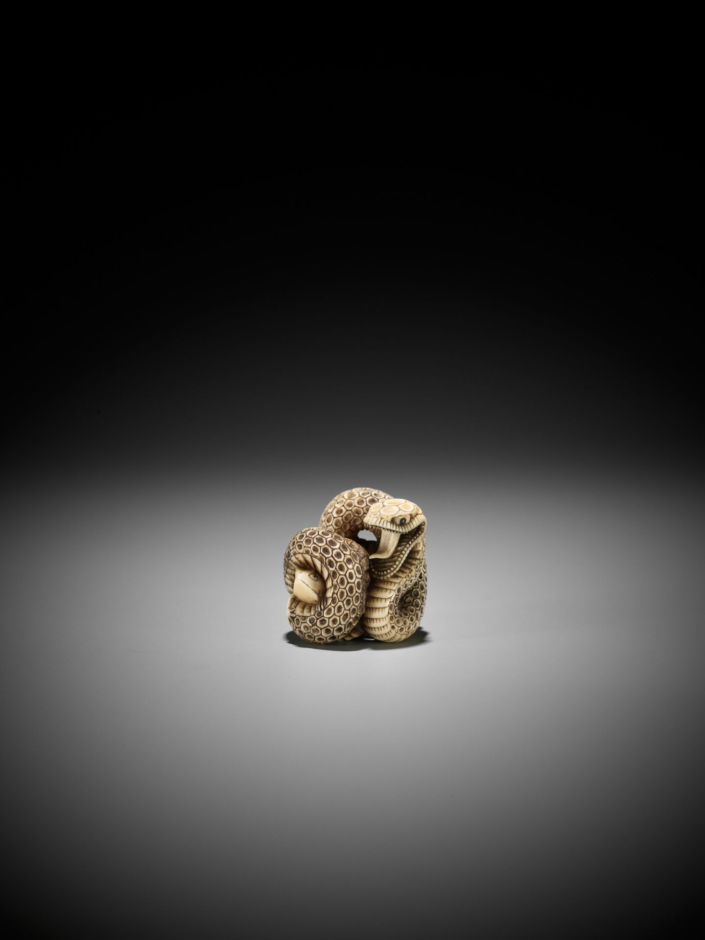 A SUPERB IVORY NETSUKE OF A SNAKE PREYING ON A FROG, ATTRIBUTED TO MASATSUGU - Bild 8 aus 16