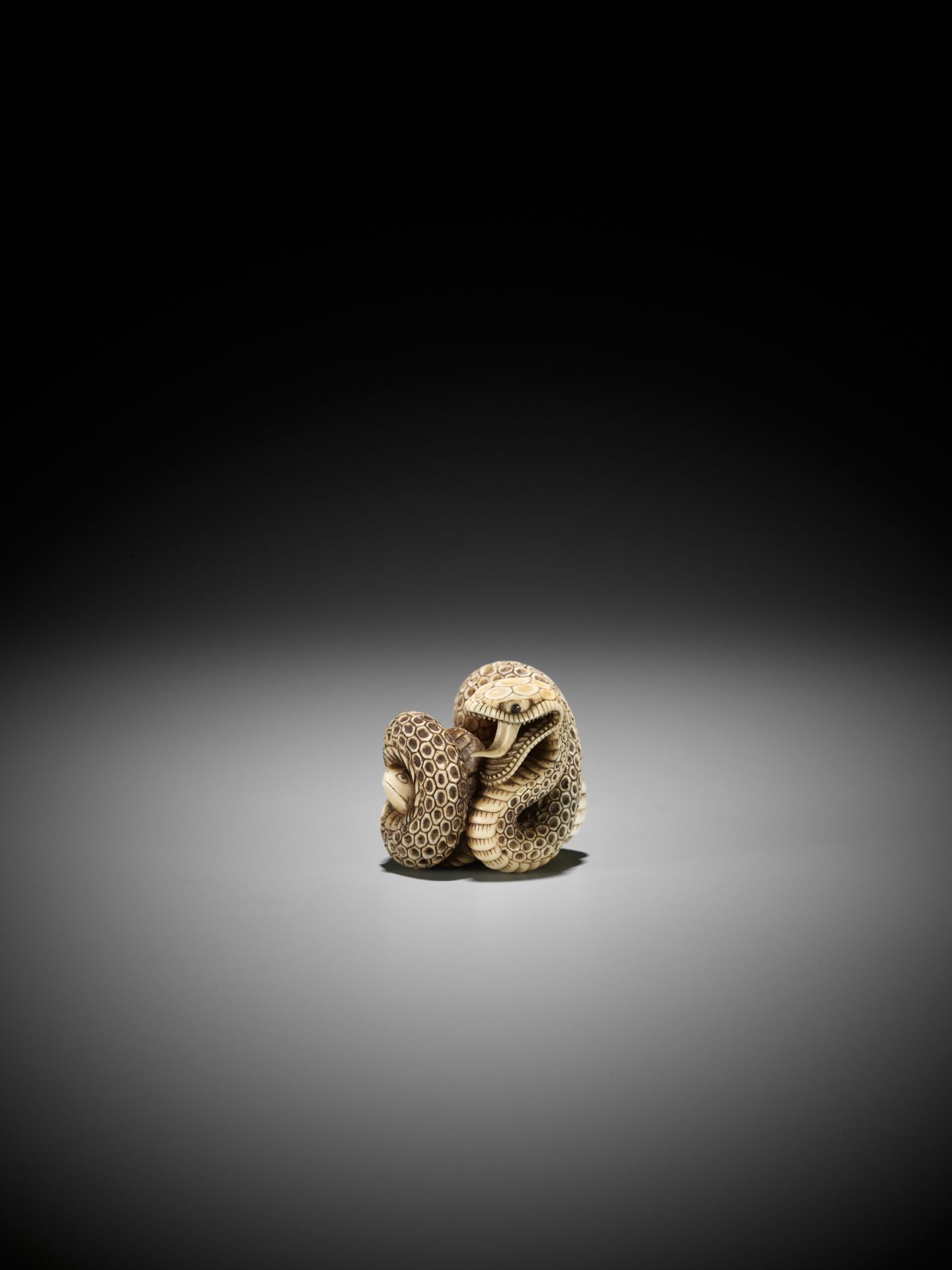 A SUPERB IVORY NETSUKE OF A SNAKE PREYING ON A FROG, ATTRIBUTED TO MASATSUGU - Bild 7 aus 16