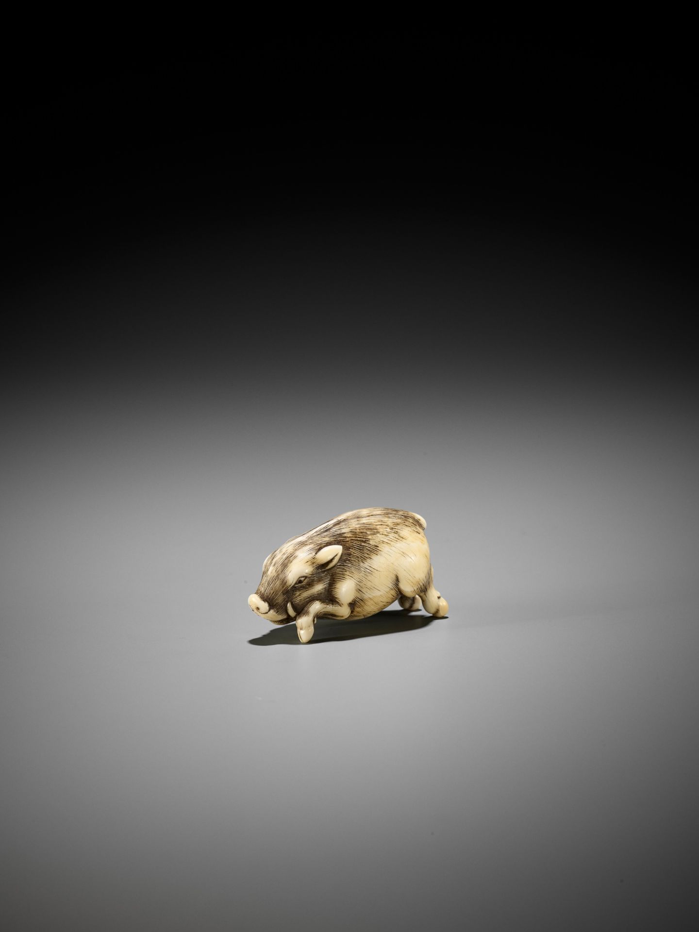 OKAKOTO: A RARE IVORY NETSUKE OF A RUNNING BOAR - Bild 9 aus 14