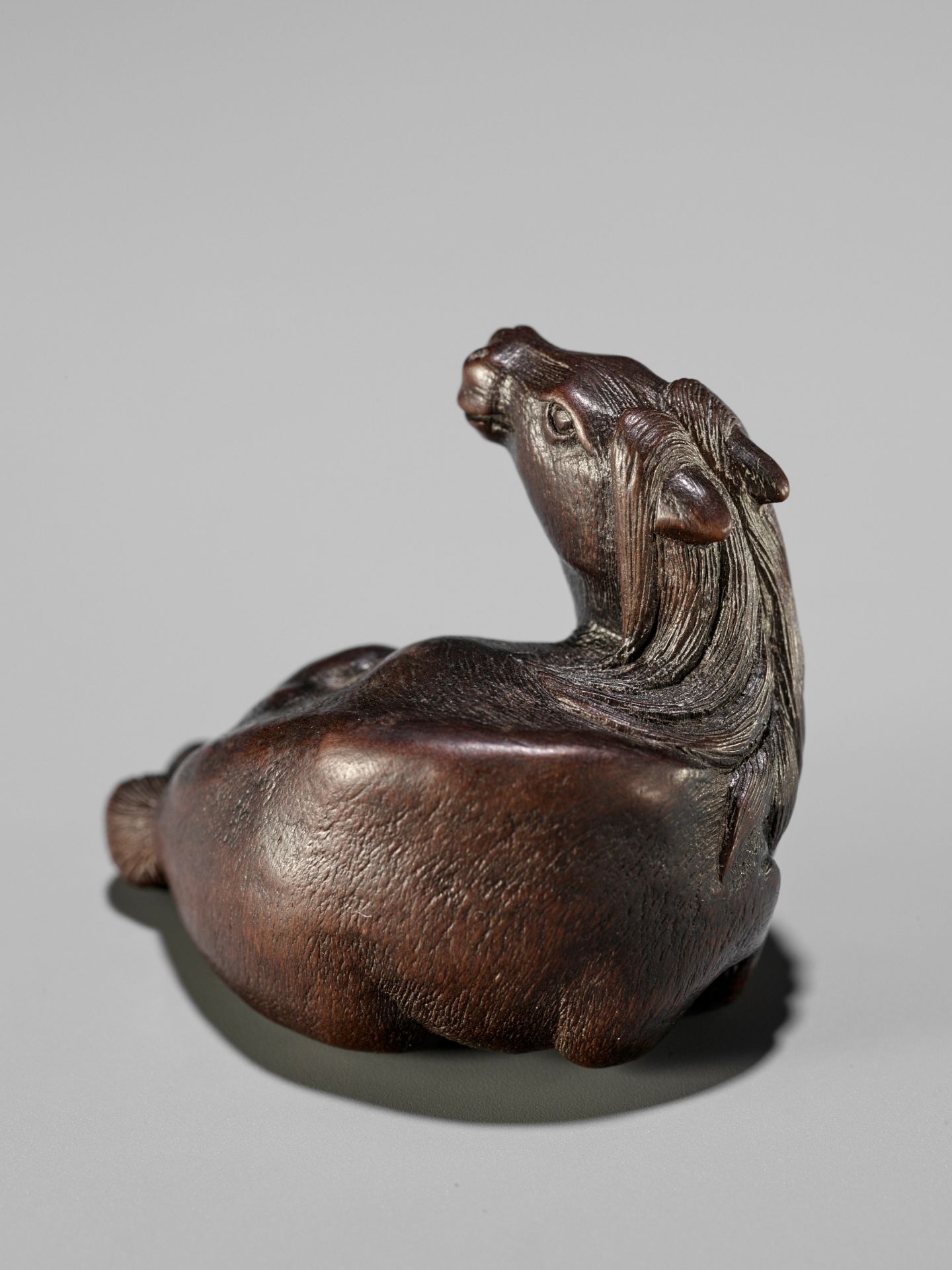 IKKAN: A FINE NAGOYA SCHOOL WOOD NETSUKE OF A RECUMBENT HORSE - Bild 2 aus 13