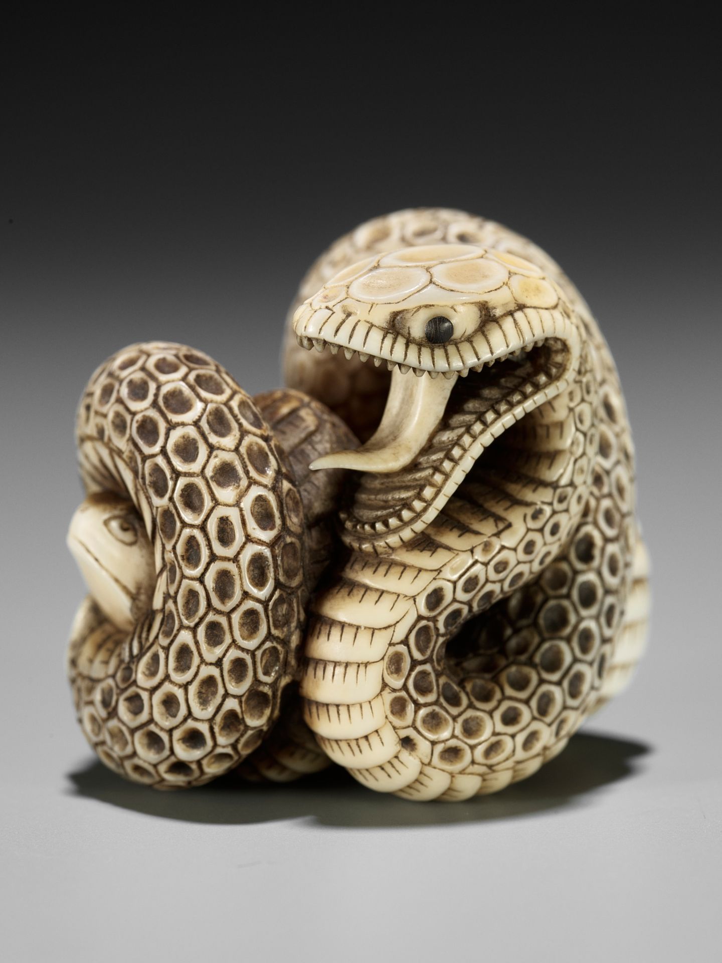 A SUPERB IVORY NETSUKE OF A SNAKE PREYING ON A FROG, ATTRIBUTED TO MASATSUGU - Bild 14 aus 16