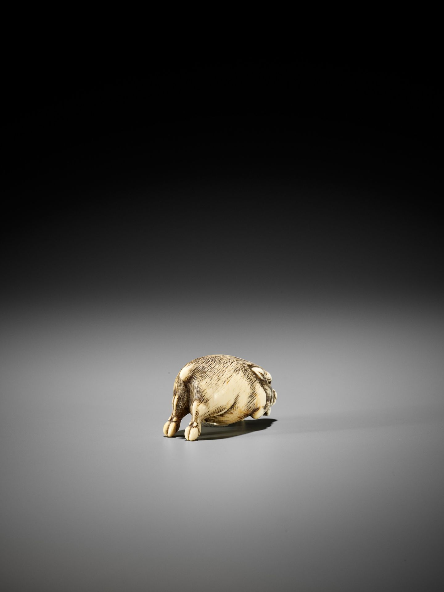 OKAKOTO: A RARE IVORY NETSUKE OF A RUNNING BOAR - Bild 11 aus 14