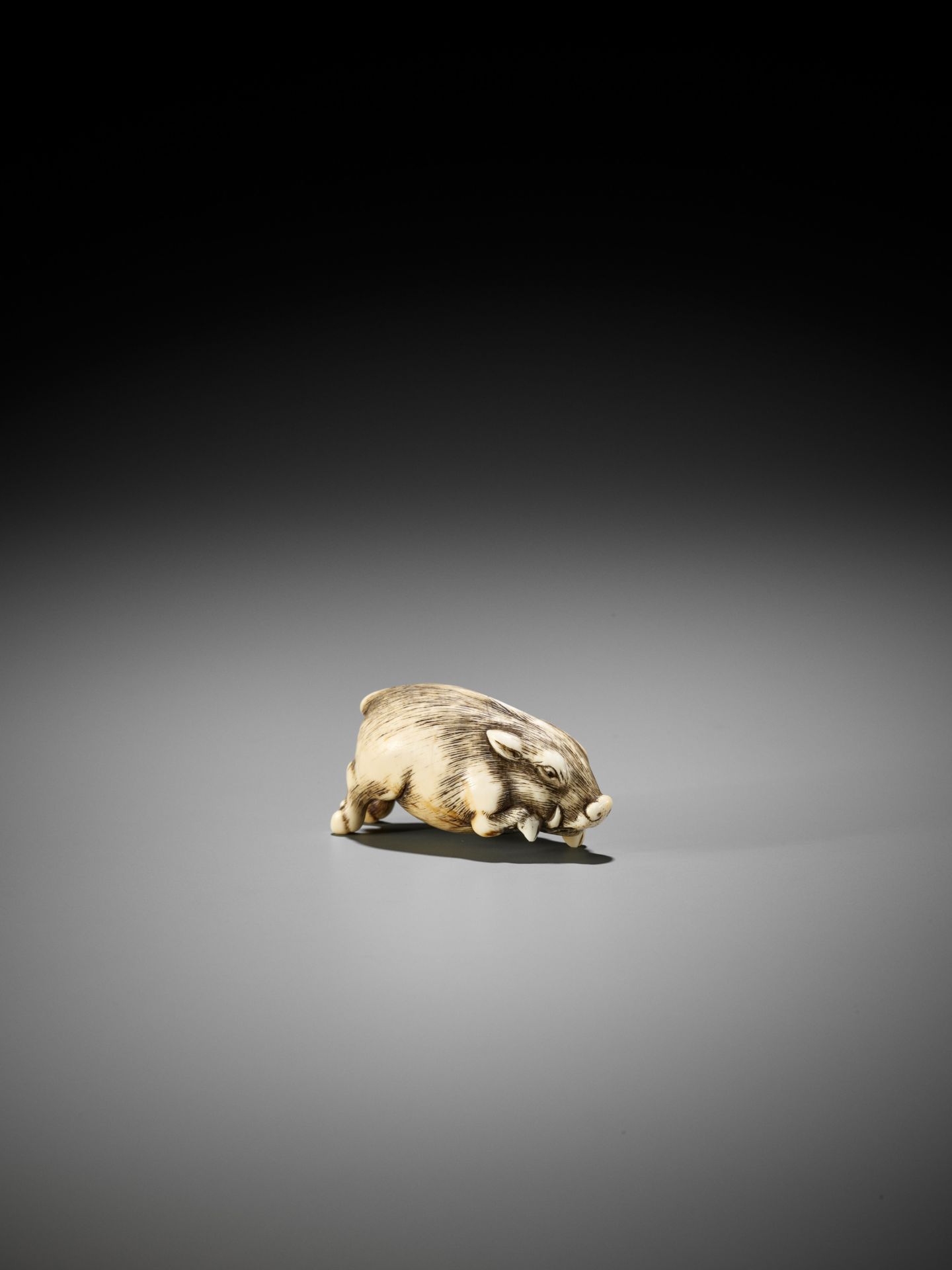 OKAKOTO: A RARE IVORY NETSUKE OF A RUNNING BOAR - Bild 7 aus 14