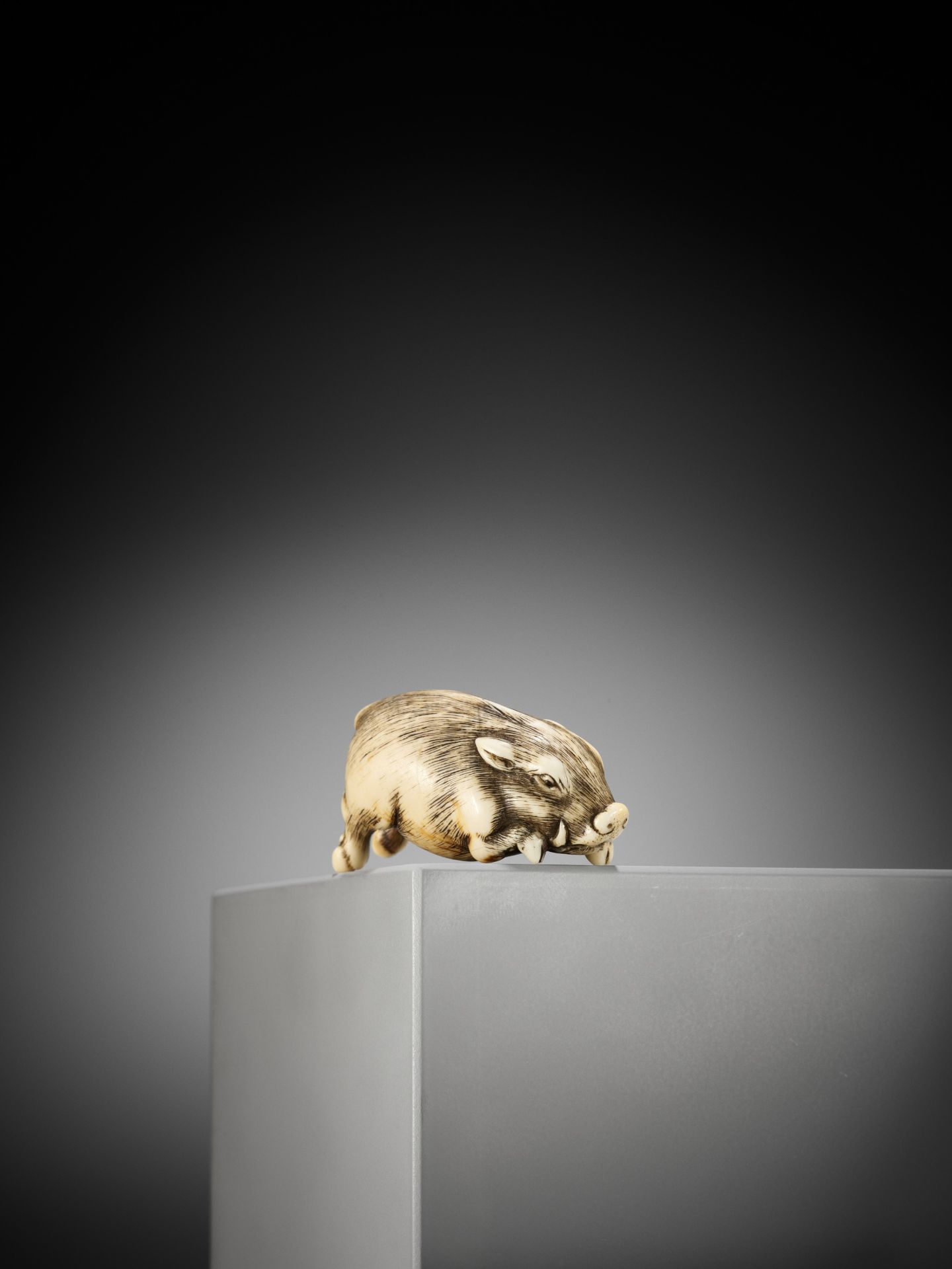 OKAKOTO: A RARE IVORY NETSUKE OF A RUNNING BOAR - Bild 2 aus 14