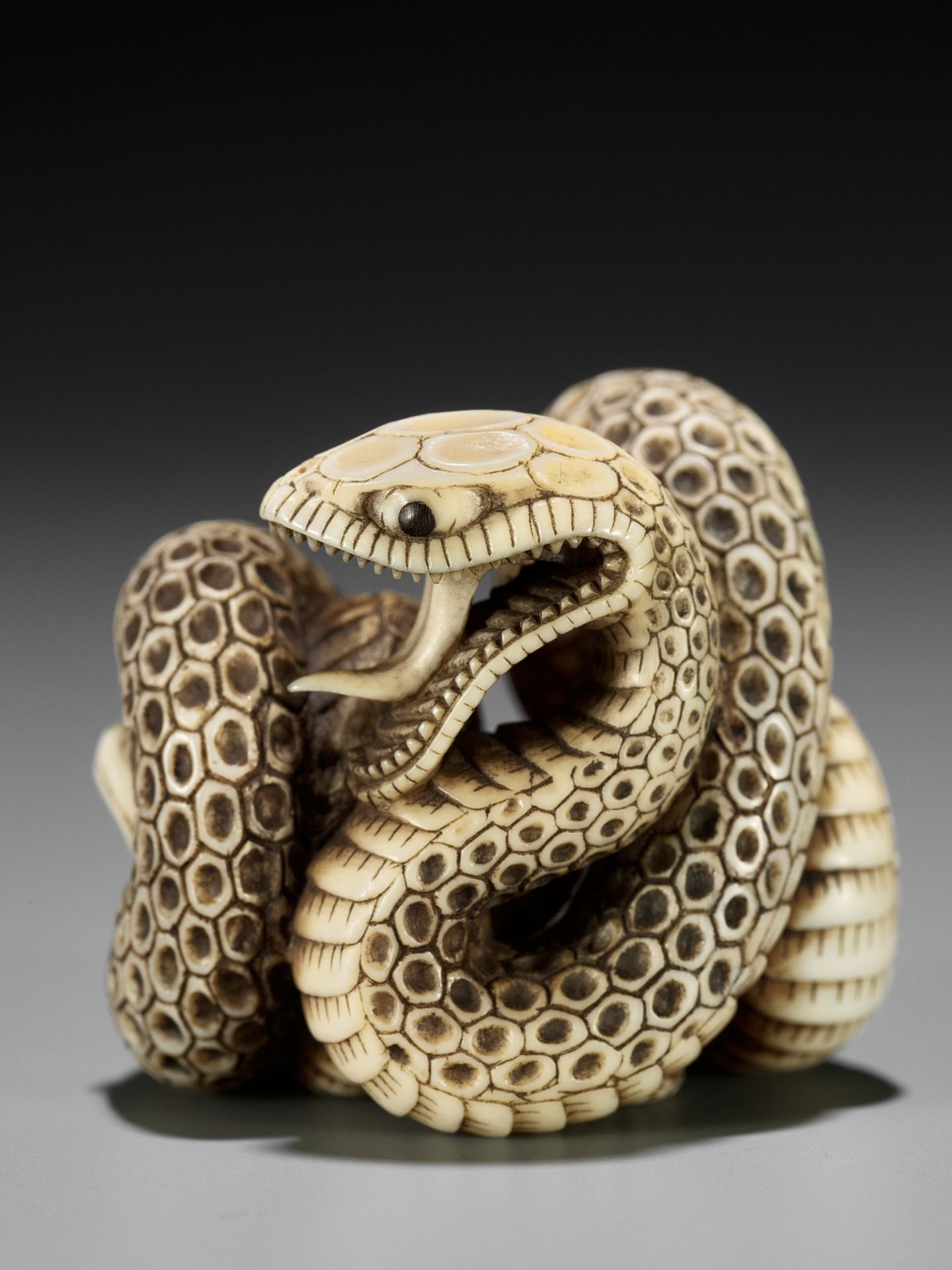A SUPERB IVORY NETSUKE OF A SNAKE PREYING ON A FROG, ATTRIBUTED TO MASATSUGU - Bild 15 aus 16
