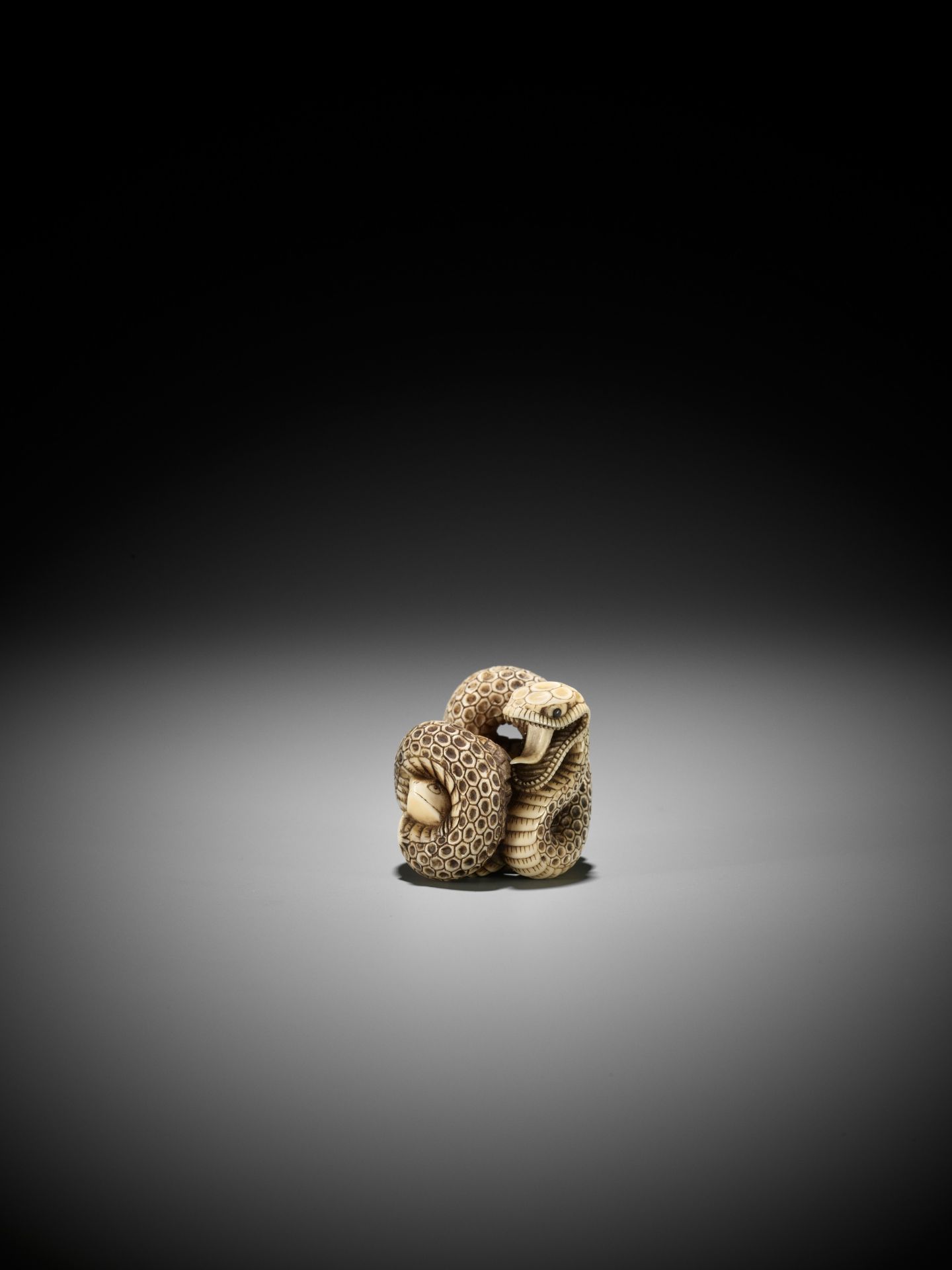 A SUPERB IVORY NETSUKE OF A SNAKE PREYING ON A FROG, ATTRIBUTED TO MASATSUGU - Bild 13 aus 16