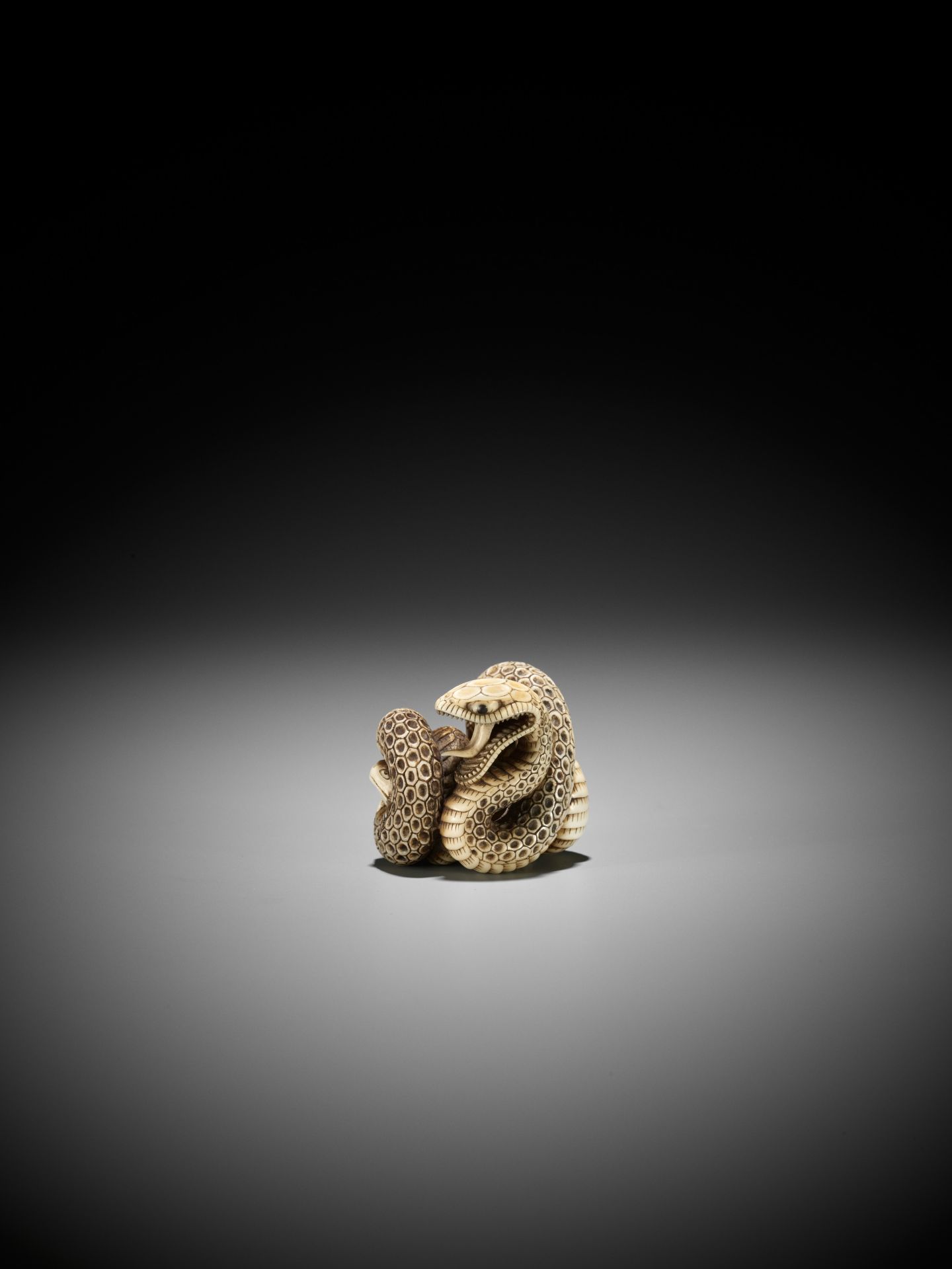 A SUPERB IVORY NETSUKE OF A SNAKE PREYING ON A FROG, ATTRIBUTED TO MASATSUGU - Bild 4 aus 16