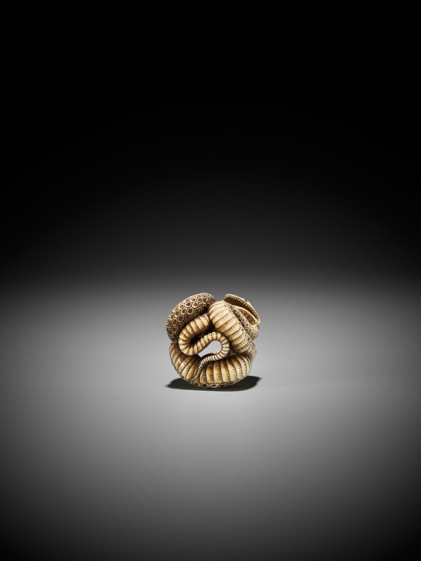 A SUPERB IVORY NETSUKE OF A SNAKE PREYING ON A FROG, ATTRIBUTED TO MASATSUGU - Bild 3 aus 16