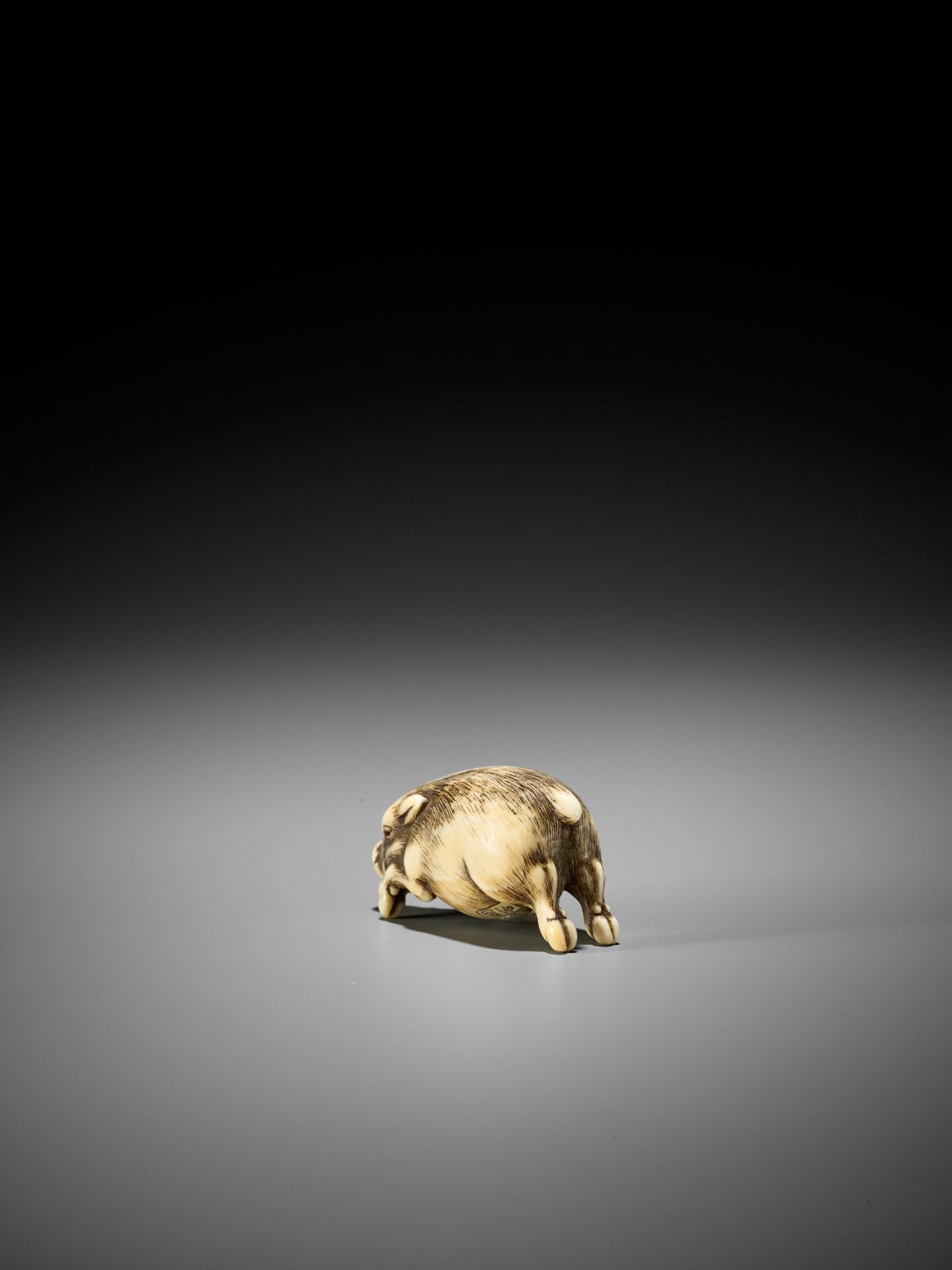 OKAKOTO: A RARE IVORY NETSUKE OF A RUNNING BOAR - Bild 10 aus 14