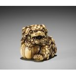 HIDECHIKA: A POWERFUL IVORY NETSUKE OF A ROARING SHISHI WITH BALL