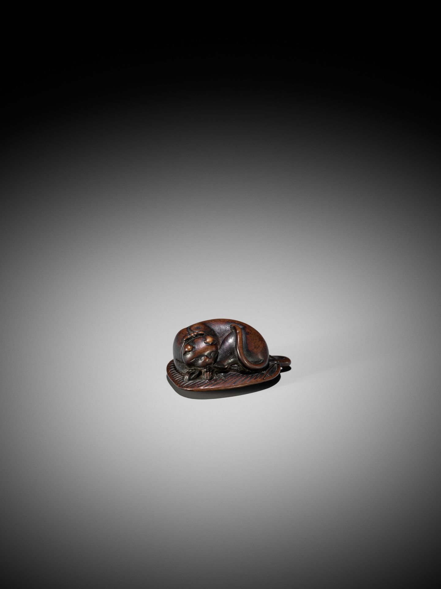 A WOOD NETSUKE OF A SLEEPING CAT ON A LEAF FAN - Bild 6 aus 7