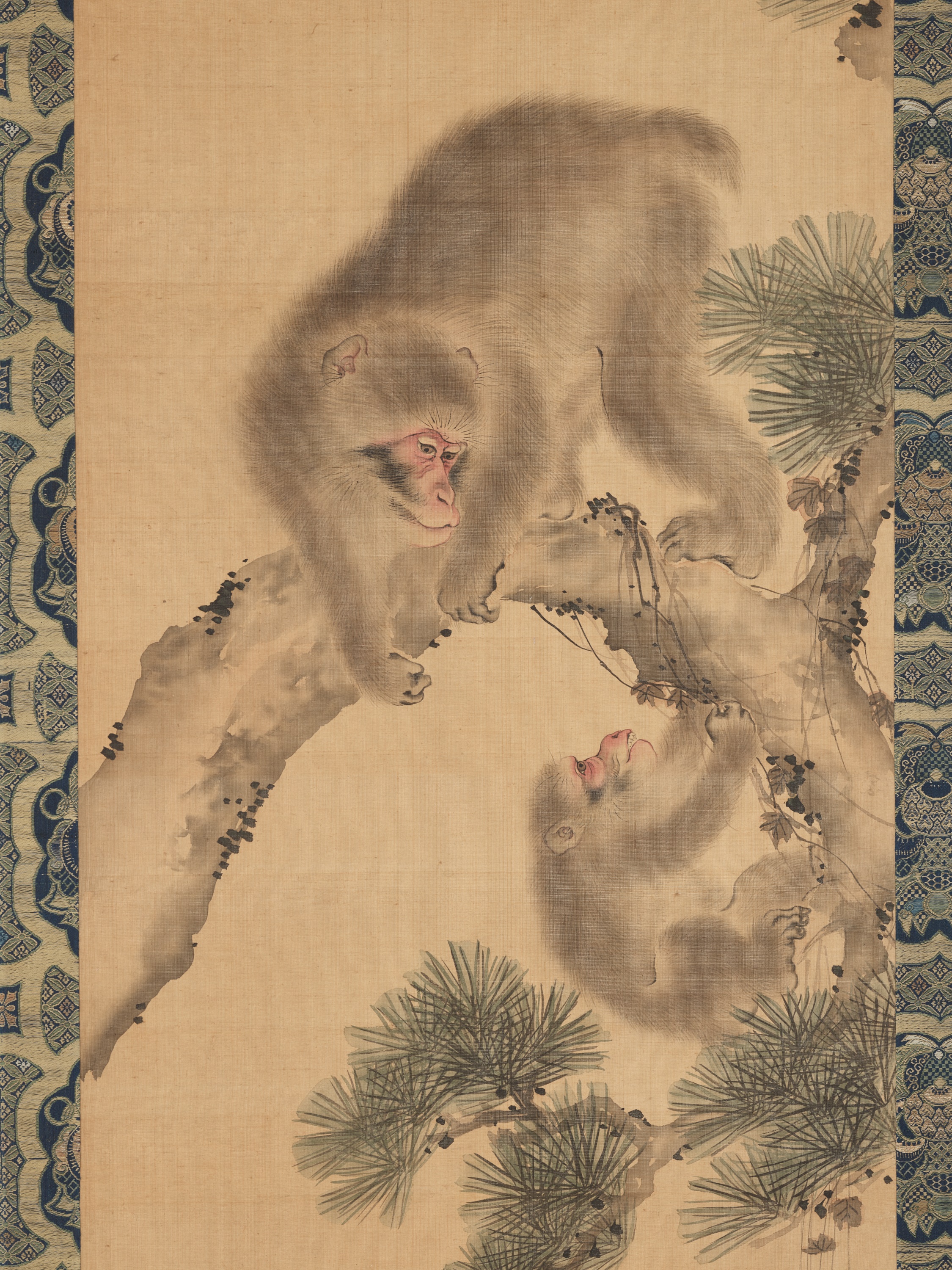 A FINE MORI SCHOOL SCROLL PAINTING OF TWO MONKEYS ON A PINE TREE - Image 4 of 9