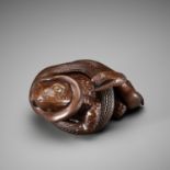 SUKENOBU: A MASTERFUL WOOD OKIMONO OF A TOAD AND SNAKE