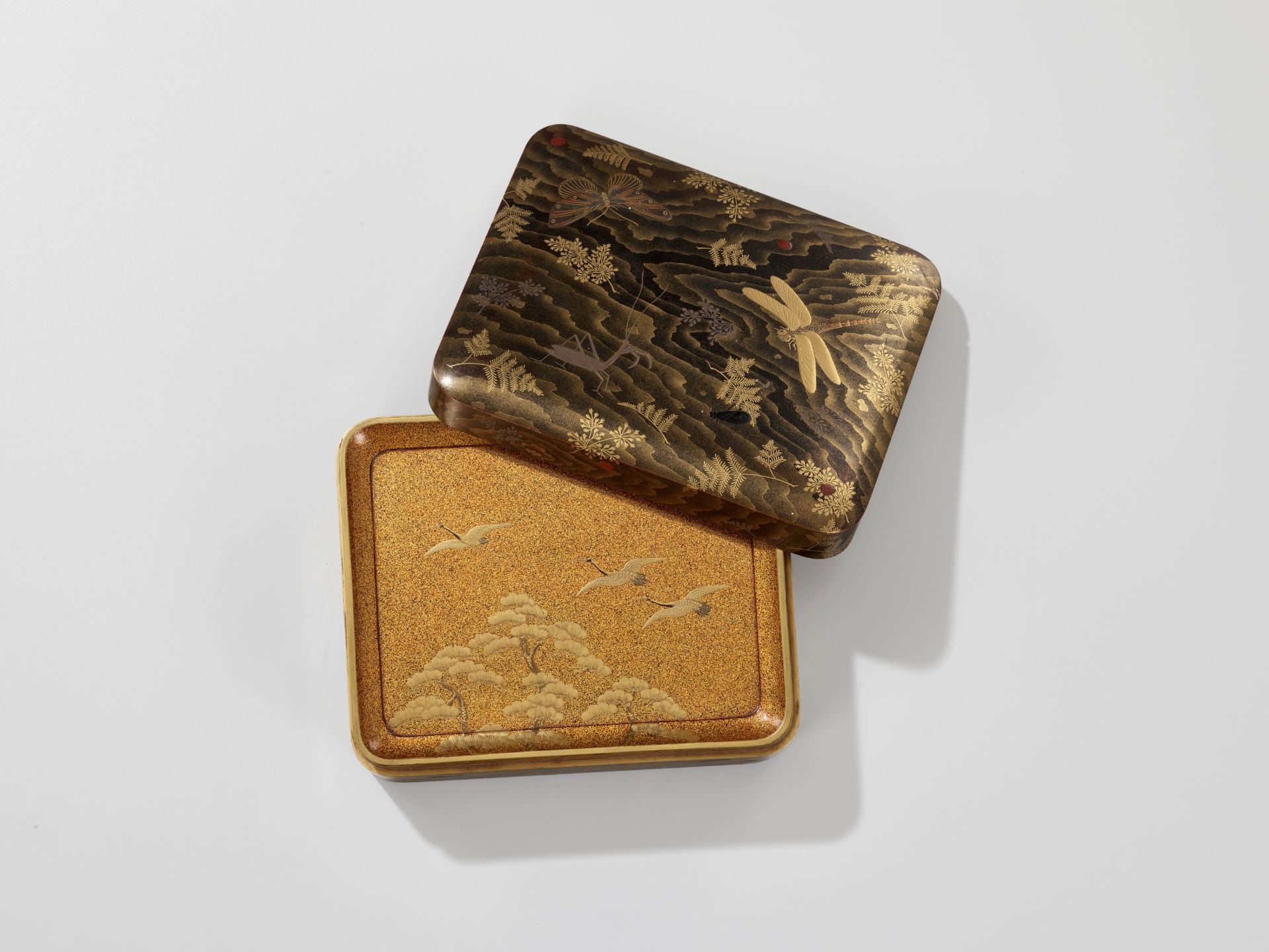 A FINE LACQUER BOX AND COVER DEPICTING INSECTS WITH INTERIOR TRAY - Image 6 of 10