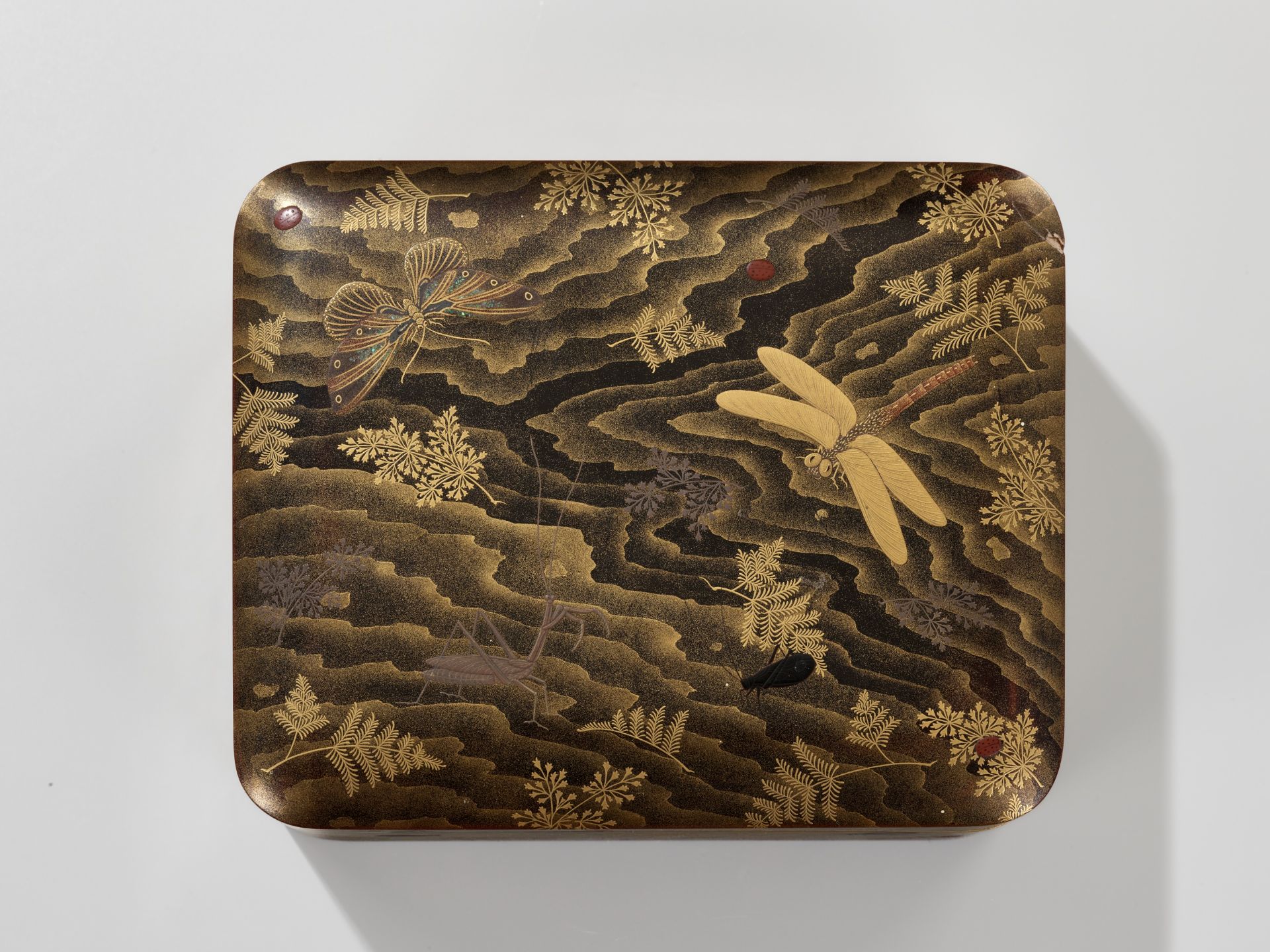 A FINE LACQUER BOX AND COVER DEPICTING INSECTS WITH INTERIOR TRAY - Image 3 of 10