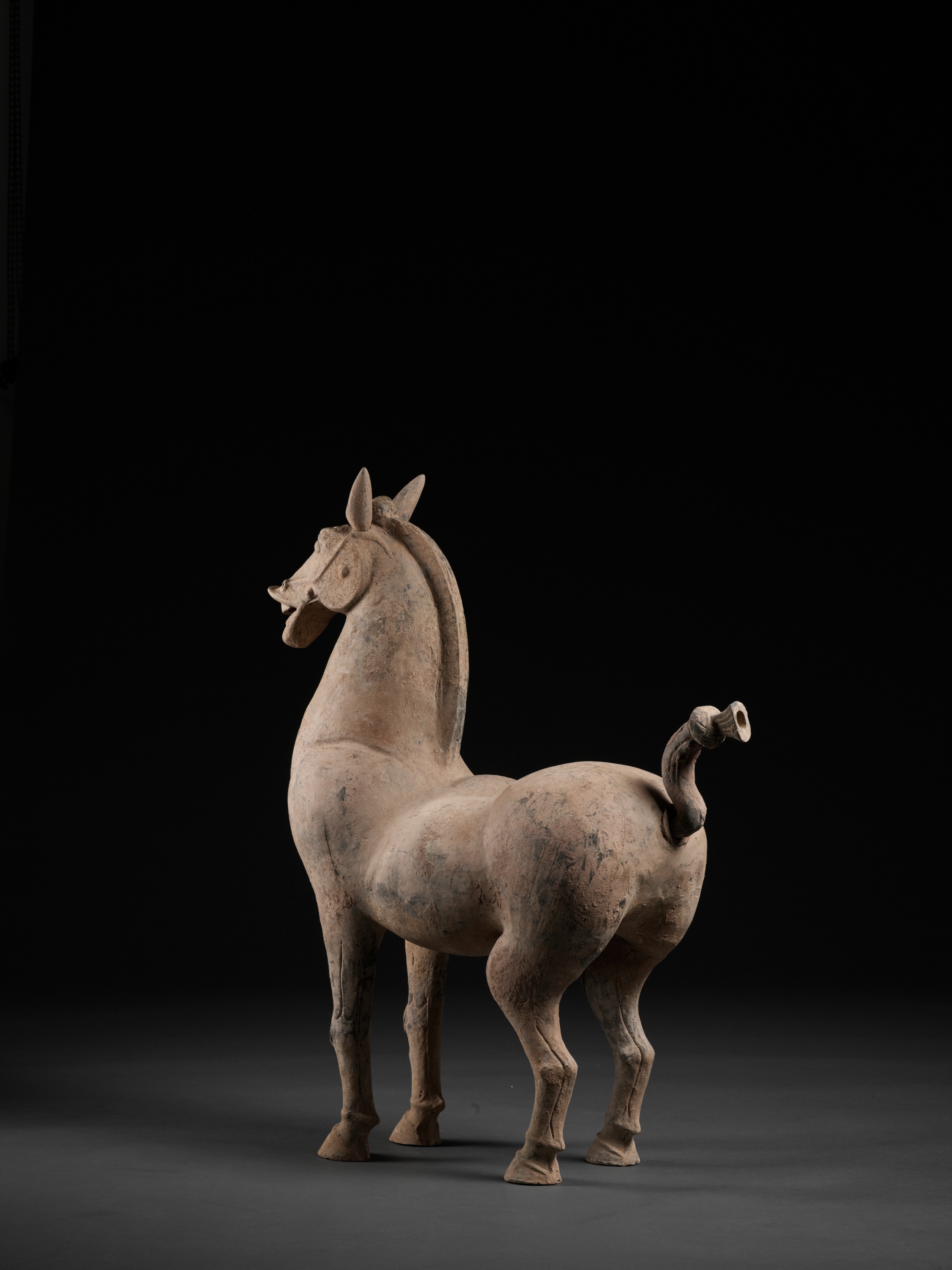 A MONUMENTAL SICHUAN POTTERY FIGURE OF A HORSE, HAN DYNASTY - Image 9 of 11