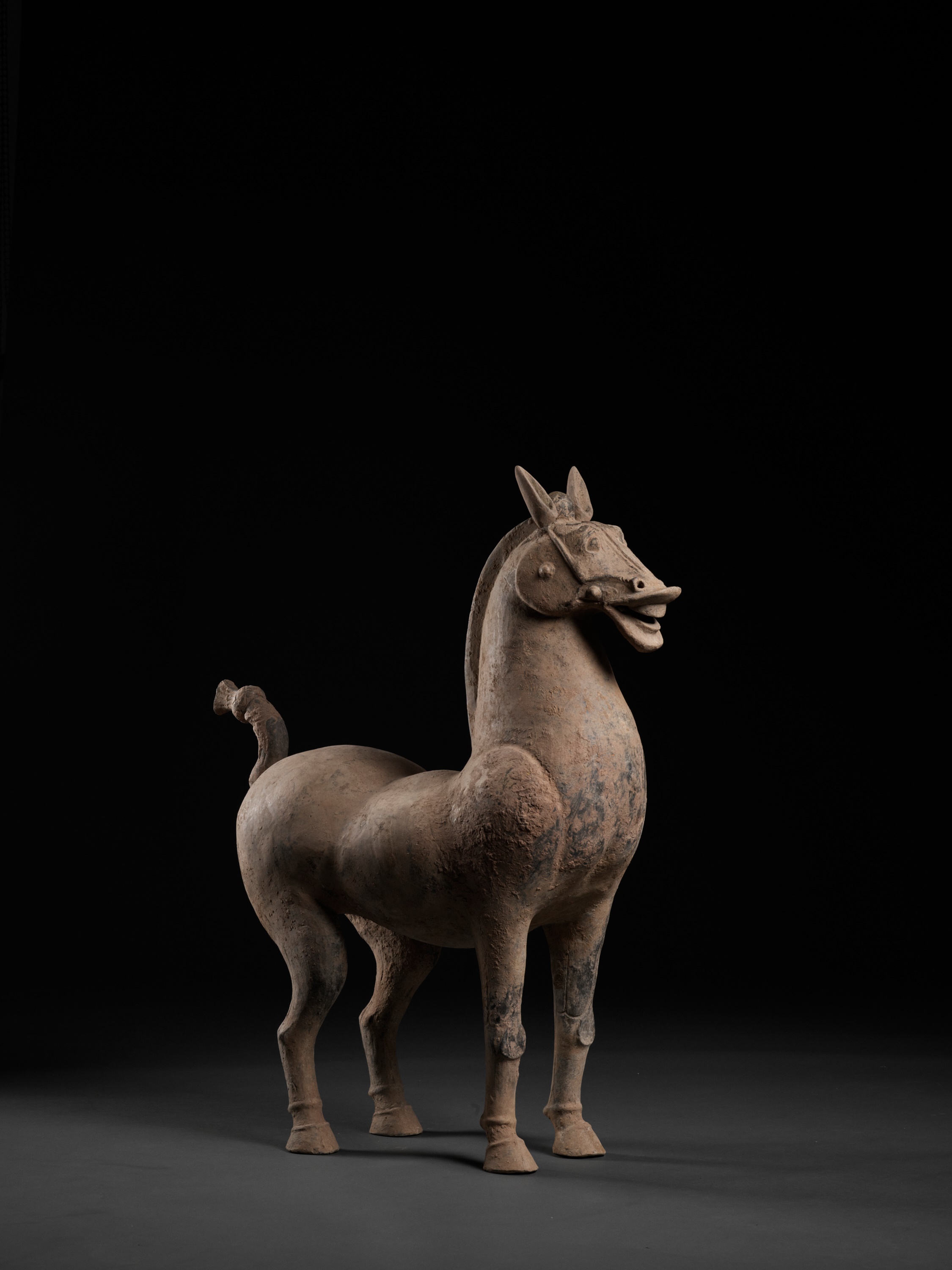 A MONUMENTAL SICHUAN POTTERY FIGURE OF A HORSE, HAN DYNASTY - Image 6 of 11