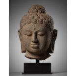 A LARGE ANDESITE HEAD OF BUDDHA, INDONESIA, CENTRAL JAVA, 9TH CENTURY