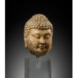 A MARBLE HEAD OF BUDDHA, TANG DYNASTY