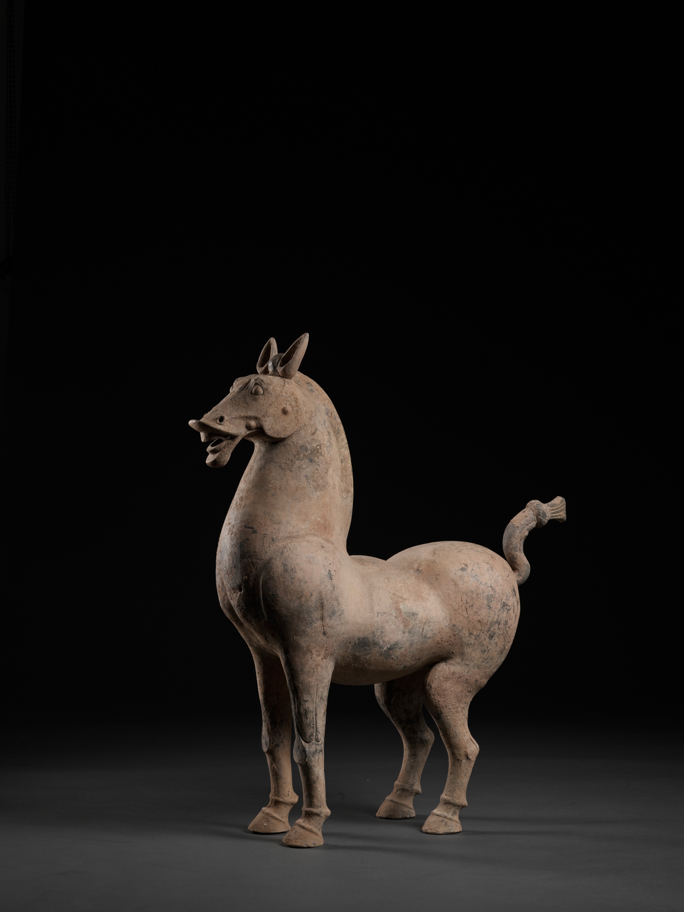 A MONUMENTAL SICHUAN POTTERY FIGURE OF A HORSE, HAN DYNASTY - Image 8 of 11