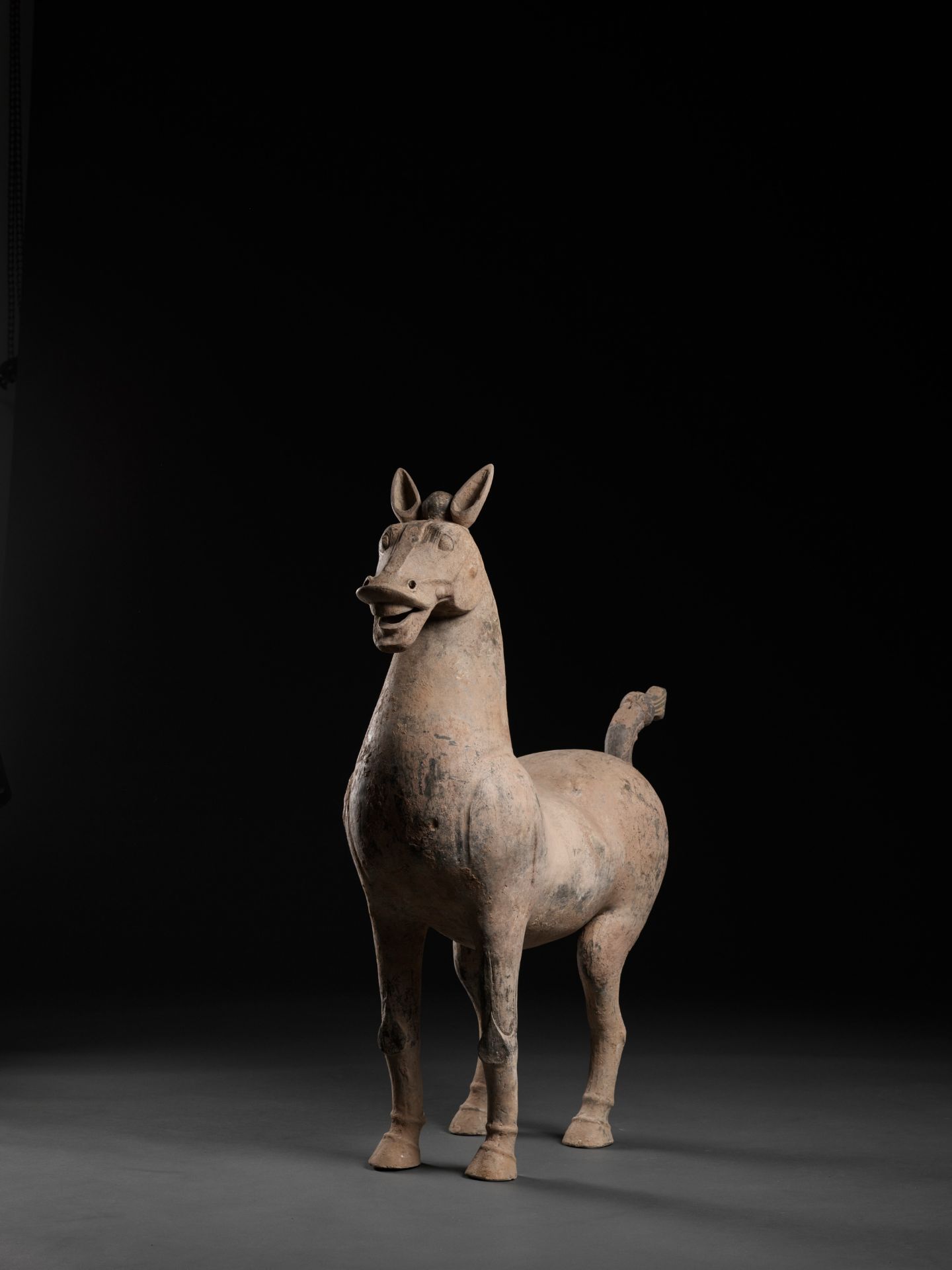 A MONUMENTAL SICHUAN POTTERY FIGURE OF A HORSE, HAN DYNASTY - Image 7 of 11
