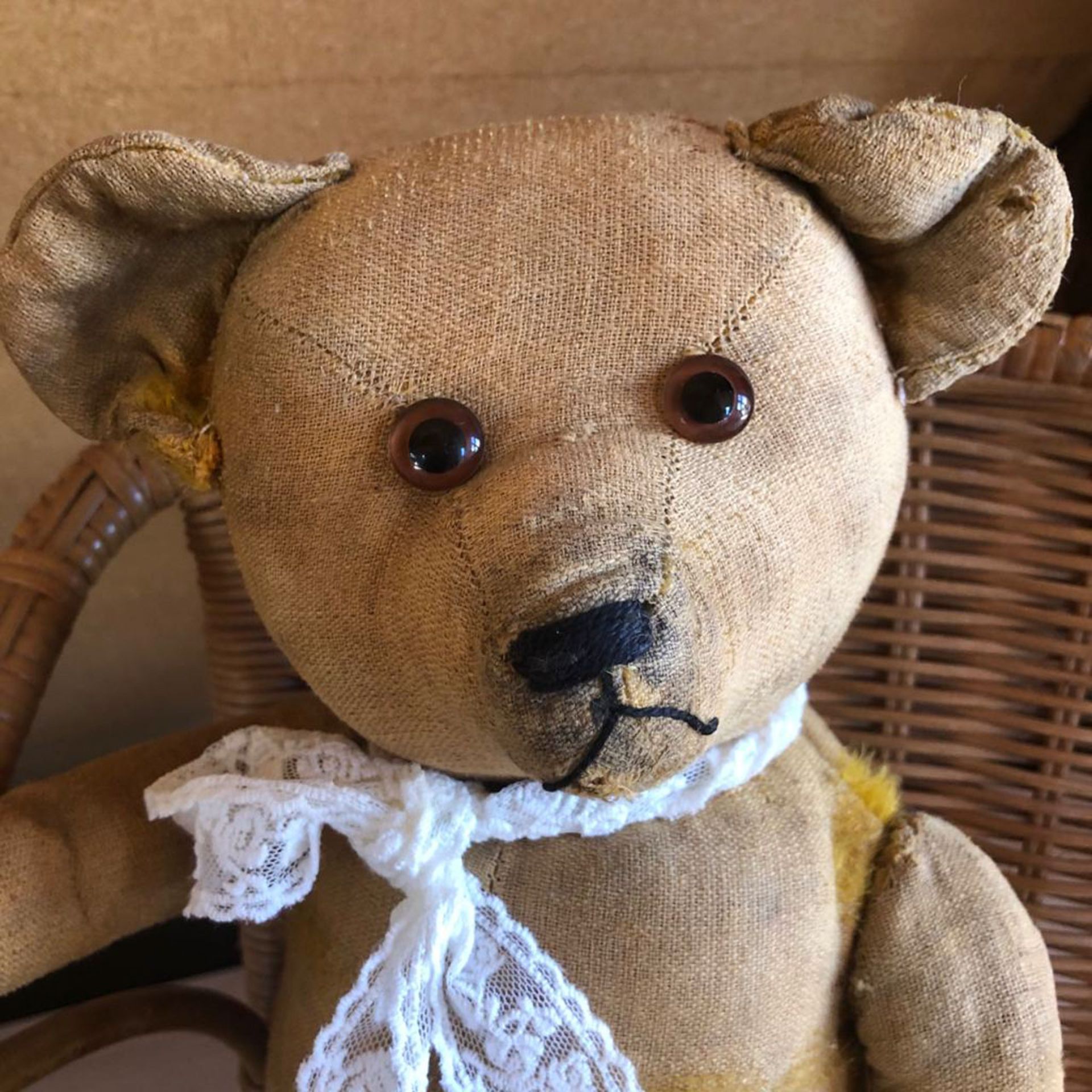 Schucco Teddybär, um ca. 1930 - Bild 4 aus 5