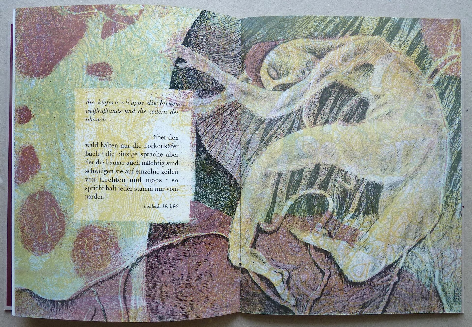 BUCHTA, WOLFGANG: "Das Alphabet der Bäume", 1998 - Image 3 of 3