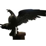 Eagle in dark patinated wood