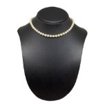 Pearl and gold necklace