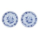 Pair of plates with floral decorations in shades of blue