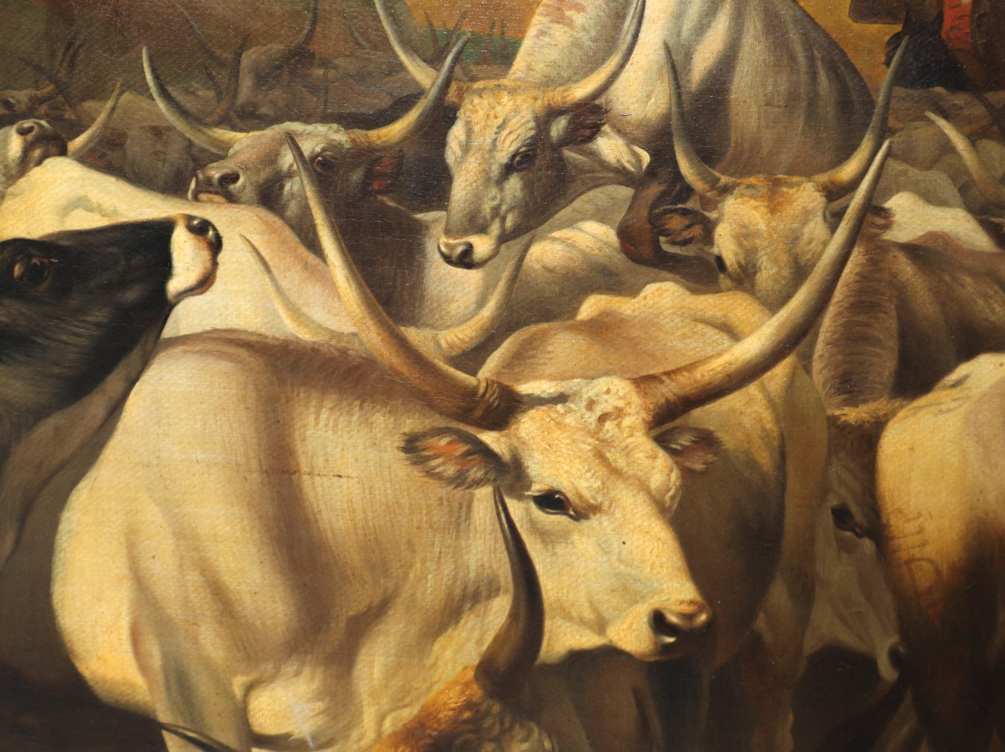 Charles Coumont (Belgio 1822-Belgio 1889) - Herd of oxen with herdsman on horseback, nineteenth cen - Image 2 of 6